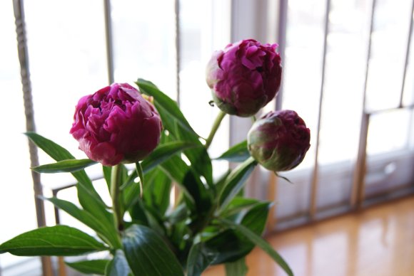 201010_700893476887_19602260_36728817_2042040_o