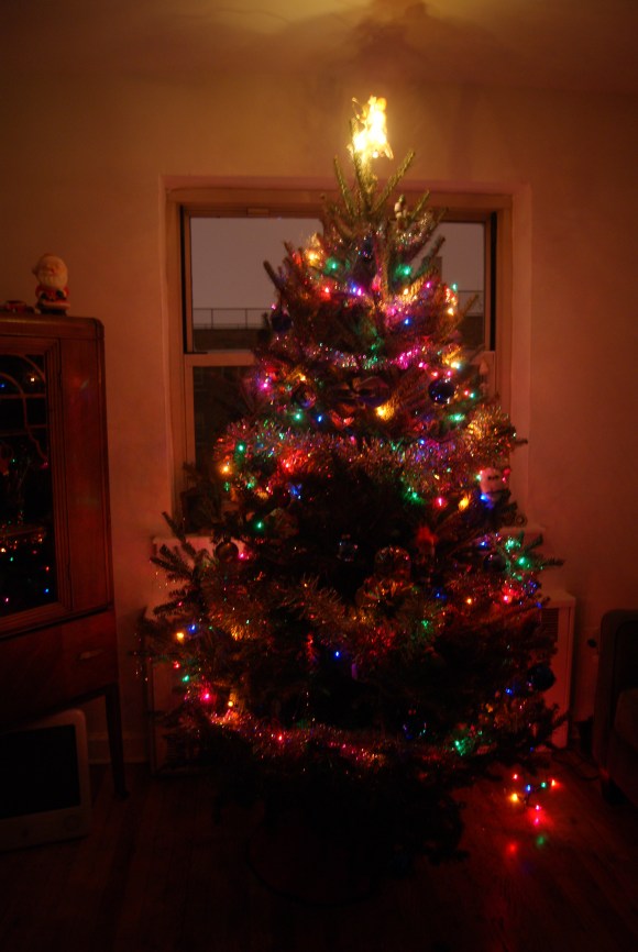This is our Christmas tree. It may not seem like much, but it brings me a disturbing amount of joy.