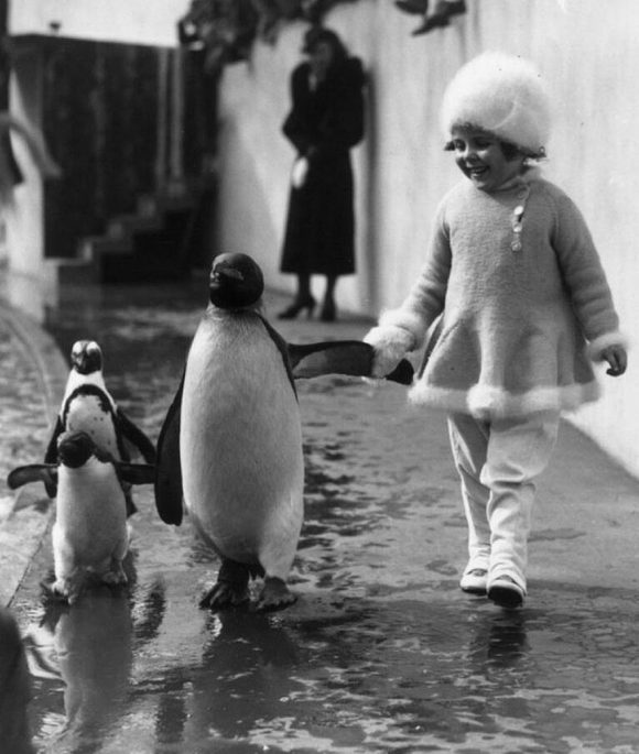 Props to my boyfriend for this.