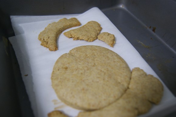 These are what my rando-shaped graham crackers look like. They look so weird, I know. The taste, however, will make you want to slap the makers of Honey Maid in the face for ever deceiving you.