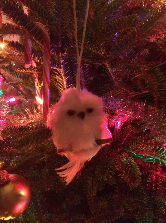 In the spirit of the holiday, here's a picture of Hoover, my favorite Christmas ornament from our tree. (I purposely left out the "whole tree" pic. I like to keep it tasteful around here. ;))