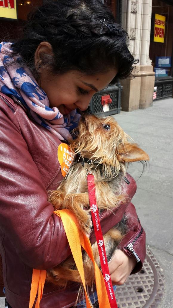 Sylvapotamus and I rescued this little Ewok, who's been happily lounging on my parents' couch for the past two weeks. Soon after this photo was taken,  our friend decided he wanted nothing more to do with me and now barely acknowledges my existence. You see now why I am the way I am.
