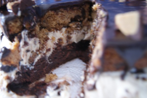 Pretty much my view for the past couple days, because I love this cake and I am a shut-in.